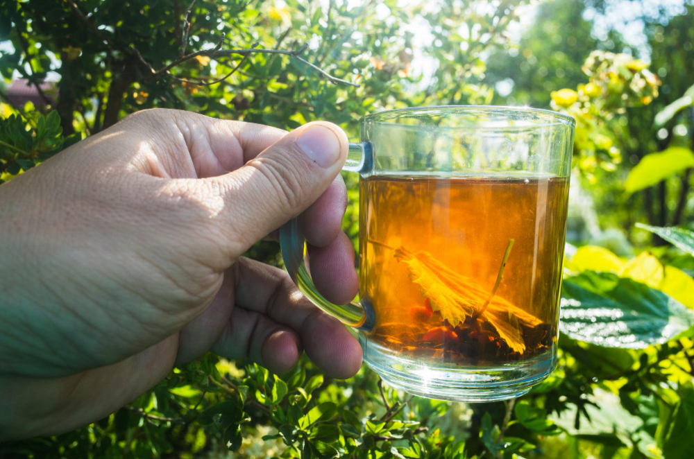 Interacțiunile negative ale ceaiului verde cu tratamentele cancerului