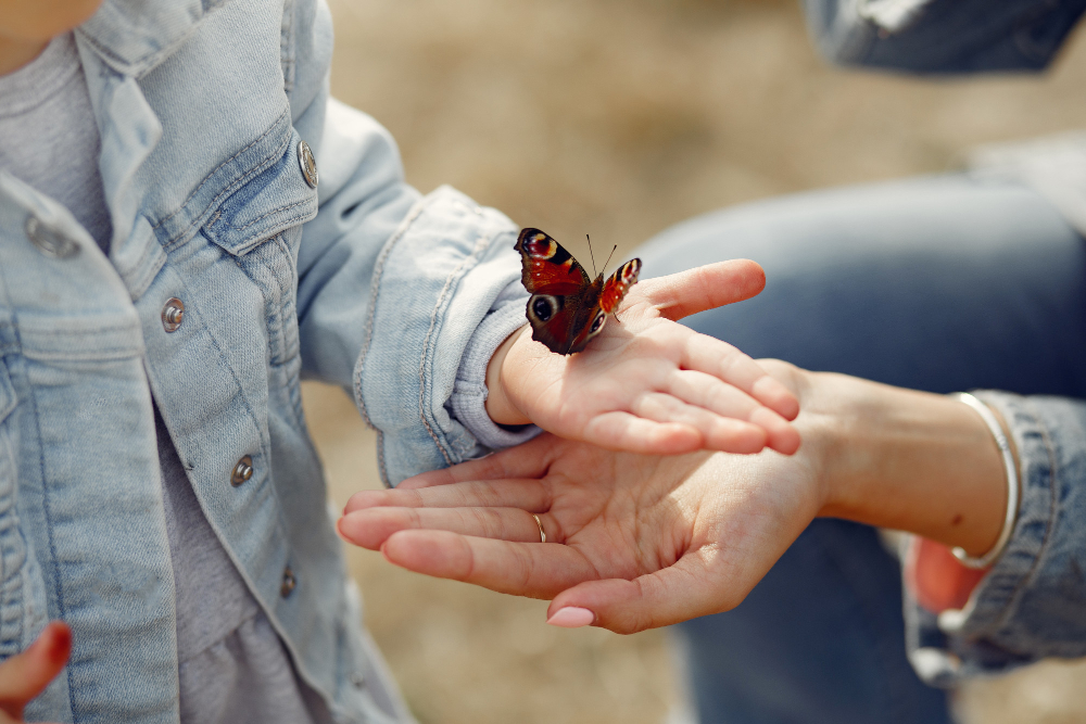 Cum creezi o curte prietenoasă cu insecte și polenizatori